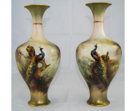 Royal Worcester Pair of Fine Hand Painted Vases 'Peacocks and Peahens in a Woodland Setting', signed R. Austin; date code for