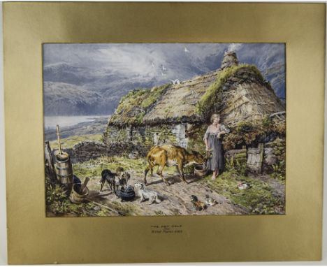 The Pet Calf after Birkett Foster R.W.S, Framed Coloured Print, mounted and behind glass. 21 x 17 Inches overall size.