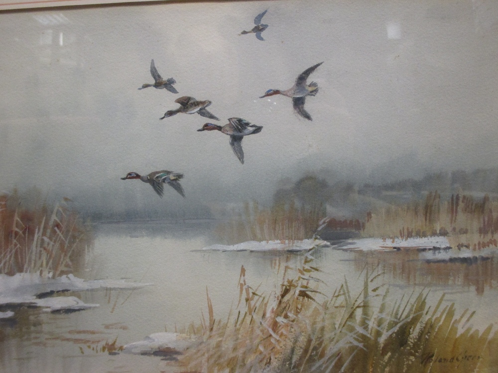 Roland Green (British, 18961972), Mallard, signed lower right "Roland