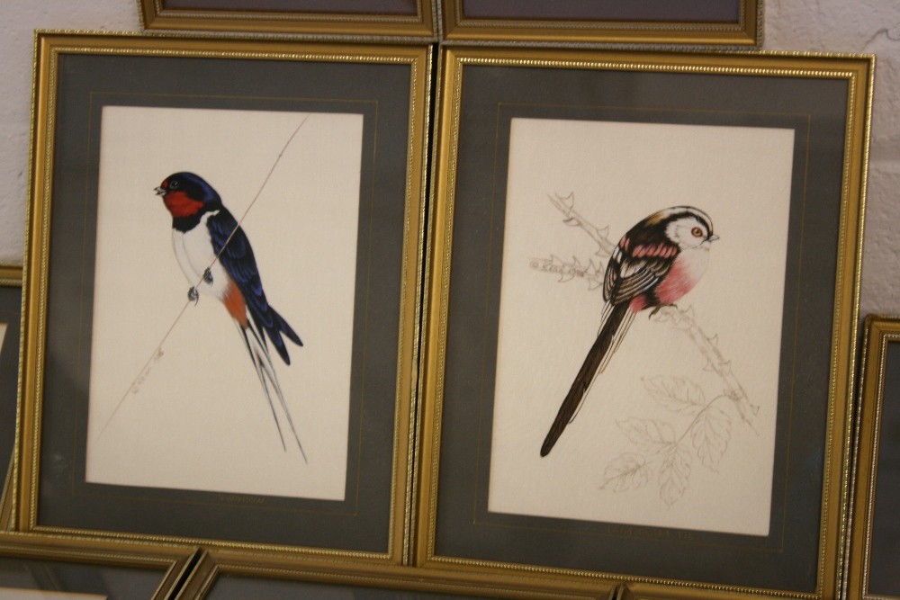 BRENDA KEAN - 11 handpainted birds on pure silk by English artist ...