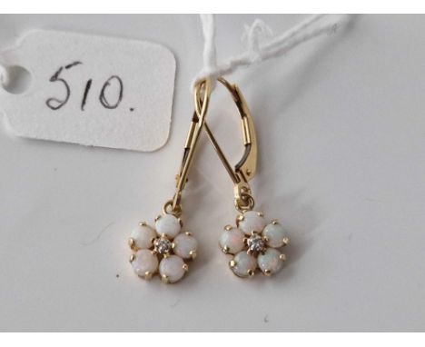 A pair of opal cluster ear pendant set in gold