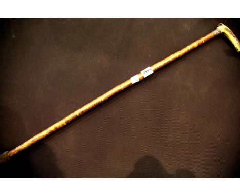 Antique horn handled walking stick with white metal collar, named to Kenyon. P&amp;P Group 3 (£25+VAT for the first lot and £