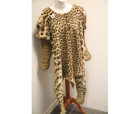 Zulu period 19th century leopard skin ibheshu, this amount traditionally only worn by royalty or chiefs. Some small holes and