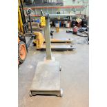 Detecto Model 854 1,000-LB Capacity Portable Mechanical Platform Scale, S/N 7203803