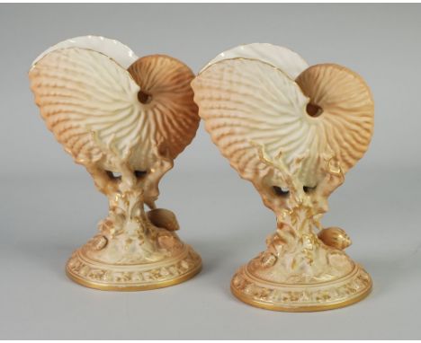 A PAIR OF EARLY 1900's ROYAL WORCESTER PORCELAIN BLUSHED IVORY AND GILT ENRICHED NAUTILUS SHELL VASES, rising from coral and 