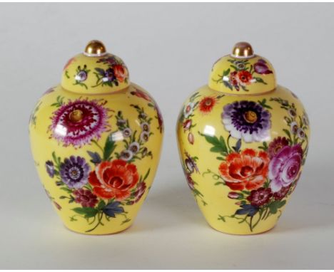 PAIR OF TWENTIETH CENTURY 'DRESDEN' PORCELAIN JARS AND COVER, each of ovoid form with domed cover, painted in colours with su