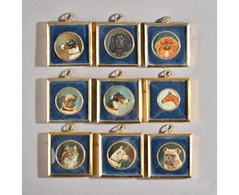 Nine portrait miniatures on ivory of animals, two signed W.H. Wheeler (Walter Herbert Wheeler, English, 1878-1960), one dated