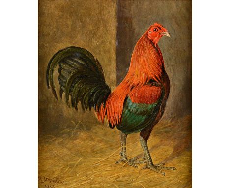 Herbert Atkinson (d.1936), Portrait of a fighting cock, oil on canvas laid on board, signed and dated 1927, 35cm x 28cm.