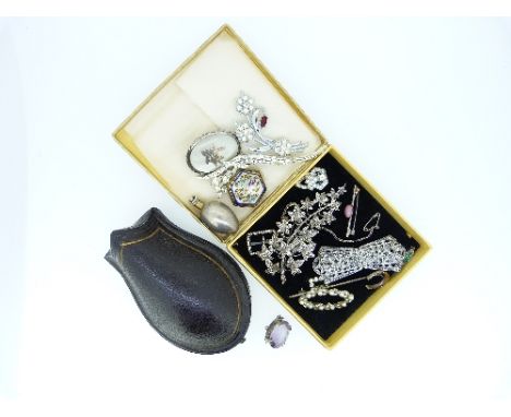 A collection of Costume Jewellery, including white paste and marcasite brooches, a marcasite double clip, gilt horseshoe stic