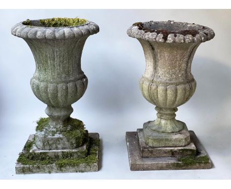 ARCHITECTURAL GARDEN URNS, a pair, well weathered reconstituted stone campana form with stepped plinth bases, 74cm H. (2) 