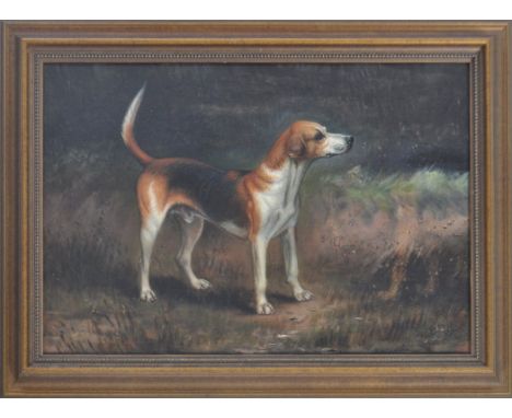 A 19th Century English School oil on board painting depicting a hunting hound / beagle dog. The subject / study depicted stan