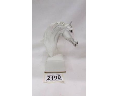 A Royal Worcester porcelain horse head, 'Bronte'. ****Condition report**** Height 12.5cm.No damage.