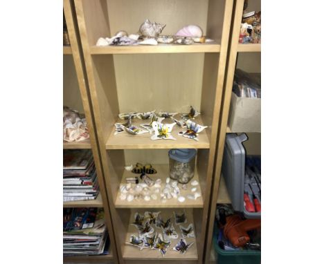 A large quantity of porcelain butterflies &amp; sea shells etc. ****Condition report**** Butterflies in good condition