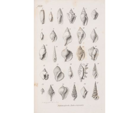Geology &amp; Paleontology.- Parkinson (James) Outlines of Oryctology: An Introduction to the Study of Fossil Organic Remains