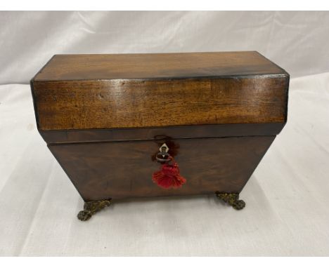 A SARCOPHAGUS SHAPED WALNUT TEA CADDY ON BRASS FEET WITH BRASS SIDE HANDLES, THE INSIDE HAS ONE LID TO THE TEA COMPARTMENT, W