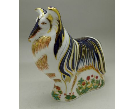 A Royal Crown Derby paperweight, Rough Collie with gold stopper, boxed
