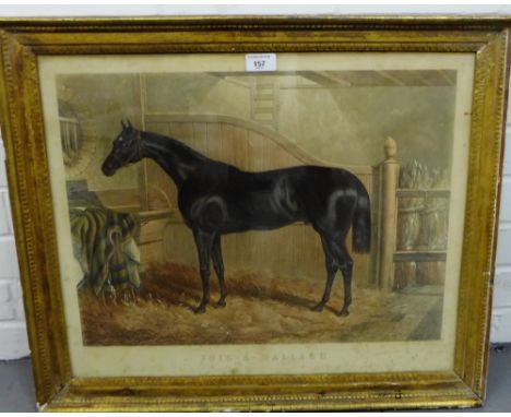 Foig-a-Ballagh, Winner of the Doncaster Great St. Ledger, 1844,  coloured print, contained within a glazed and gilt wood fram