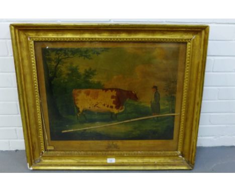 'The Durham Ox' Coloured lithographic print, contained within a glazed and gilt wood frame, 66 x 55cm From the residual conte