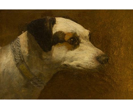 R..Plum (British, fl.1874-1886), 'Jumbo' - head of a terrier, signed and dated 1884 on collar, oil on canvas, 20.5 by 25.5cm,