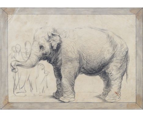 CAPTAIN WILLIAM BAILLIE (IRISH, 1723-1810)Black and white engraving of Hansken the Elephant taken from a drawing by Rembrandt