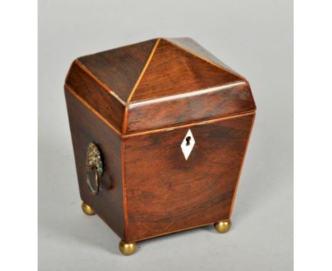 A Regency rosewood caddy box of square tapering form with a hinged domed cover, having lion mask ring pull handles and on fou