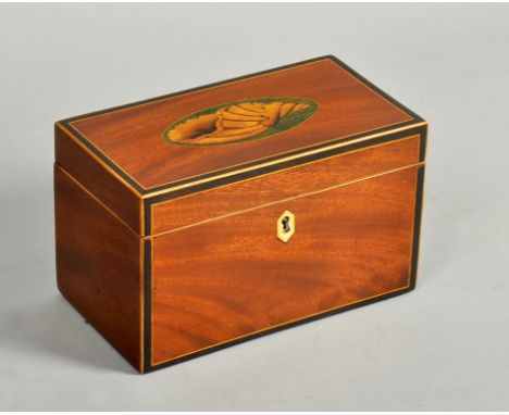An early 19c mahogany two compartment tea caddy with ebony and satinwood edging, the hinged cover with oval shell motif, 7w.