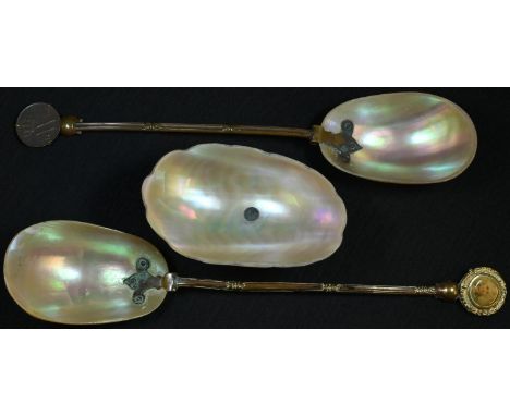 A wunderkammer type mother of pearl spoon, brass stem, the termianl set with a coin dated 1876, 22cm long; another, similar; 