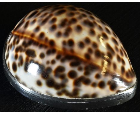 A George III silver mounted cowrie shell snuff box, probably Scottish, hinged cover inscribed 'J H P Mitchell', 8cm long, c.1