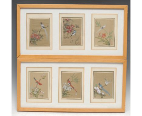 Chinese SchoolA set of six, Ornithological Studies, Of Exotic Birdsred seal marks, watercolour and gouache, each 13cm x 10cm,