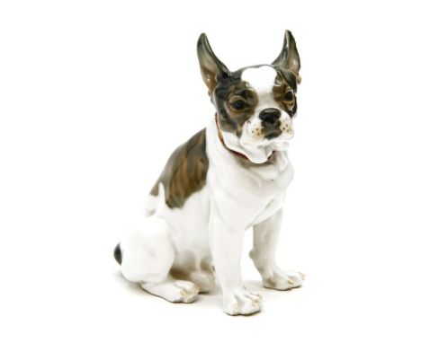 A 20th century Meissen figure of a French bulldog, scratched number to base 'V134', and blue crossed swords mark, 13.5cm high