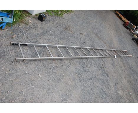 A 20 rung aluminium ladder.