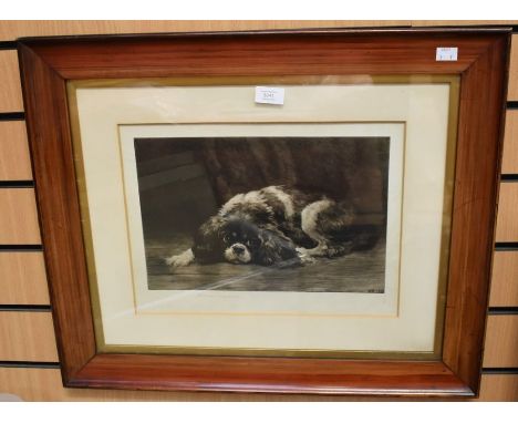 Etching of a dog - Herbert Dicksee, signed in pencil