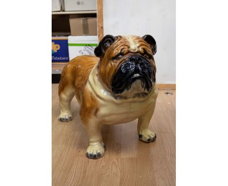 A 20th Century life size painted ceramic model of a Bulldog with features and tan colourway to body, detail to feet, mouth an