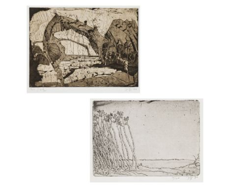 Horst Janssen1929 Hamburg - 1995 Hamburg - Landschaft - Radierung/Japanbütten. 20/22. 21,9 x 30 cm, 34 x 49 cm. Monogr. und d