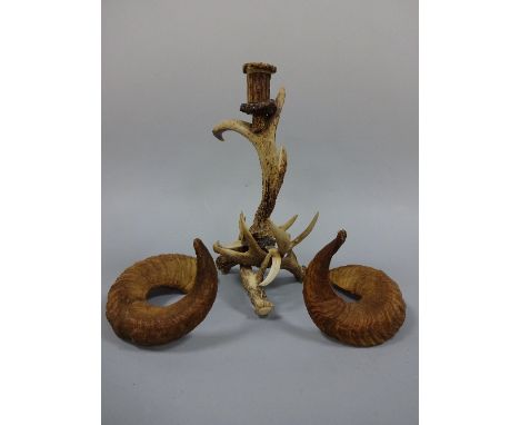A HORN AND ANTLER CANDLESTICK, approximately 34.5cm high, together with a pair of Rams horns, approximately 23cm max high (3)
