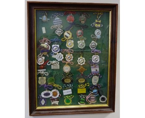 A WALL HANGING GLAZED DISPLAY CONTAINING CHELTENHAM ENAMEL BADGES, from 1971-2011, approximately 36cm x 47cm (max)
