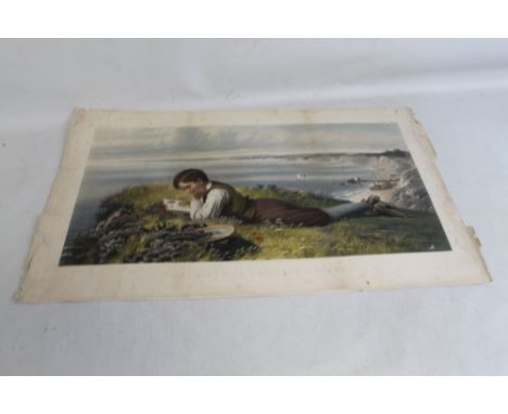 ENGRAVED BY F. STACPOOLE AFTER R. COLLINSON, a coloured lithograph entitled 'Absorbed in Robinson Crusoe'Condition Report:Fox