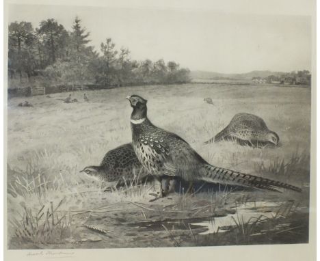 After Archibald Thorburn THE HOME COVERTS Photogravure, signed in pencil on mount and inscribed on label verso A Baird-Carter