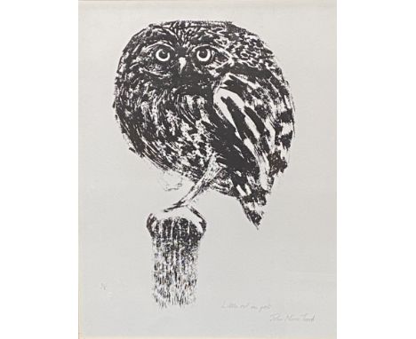Framed and glazed lithographic print of an owl by John Norris Wood; together with a framed and glazed limited edition (no 1/5