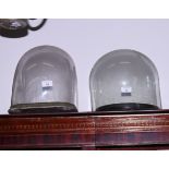 A rectangular glass dome, on ebonised base, 15" x 9" x 12" high, and a similar circular dome