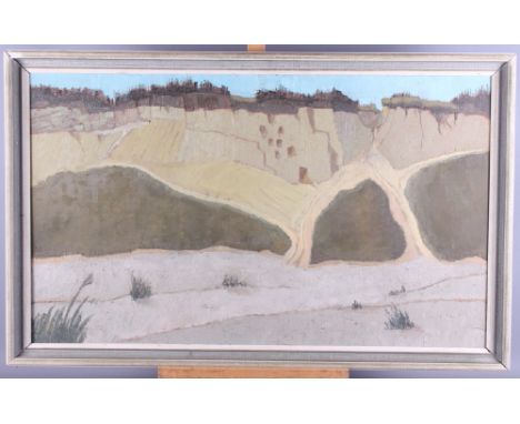 R Neal: oil on canvas faced board, "Cliff Face", 29 1/2" x 17 1/2", in painted strip frame