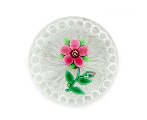 A 20th Century Paul Ysart glass paperweight with central lamp work pink flower above a lattachino basket base all cased in cl