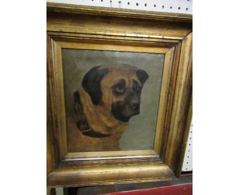 Oil on canvas, indistinctly signed, portrait of dog's head, 9.5ins x 8.5ins