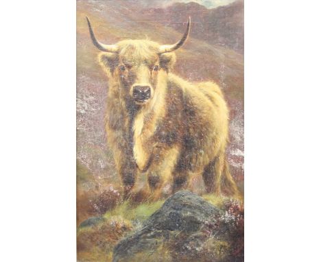 William Watson (1831-1921) - Highland bull, oil on canvas, signed and dated 1883 lower right, 44 x 29cmCanvas heavily crazed,