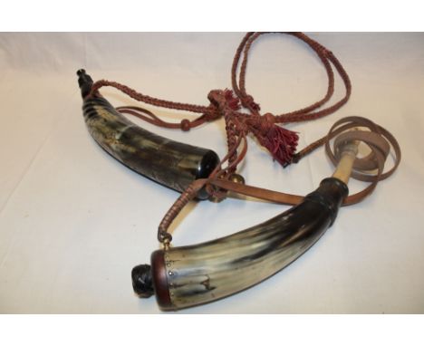 A good quality carved natural horn large size powder flask decorated with a squirrel and stag, 14" long and one other cow hor