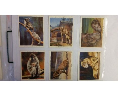 PLAYERS, natural history, complete (7), inc. Natural History 1st & 2nd (both extra large), Old Hunting Prints (large); Wild A