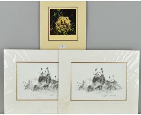 DAVID SHEPHERD 91931-2017) 'PANDA', two limited edition prints 152 and 154/495, signed and numbered in pencil, with certifica