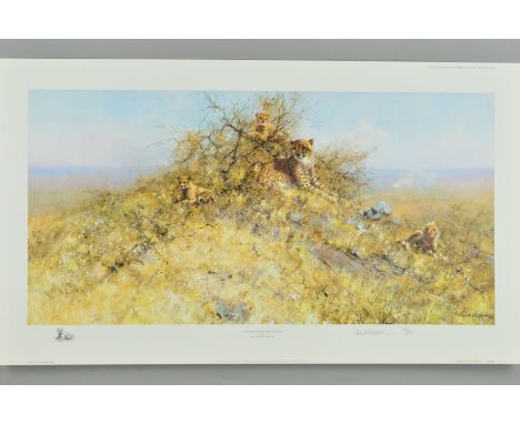 DAVID SHEPHERD (1931-2017) 'The Best Spots On The Hill', a limited edition print 70/950 of a family of cheetahs, signed in pe