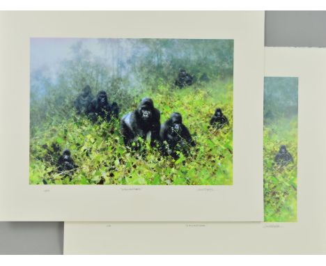 DAVID SHEPHERD (1931-2017) 'IN THE MISTS OF RWANDA', two limited edition prints of gorillas, 13 and 19/250, signed, titled an