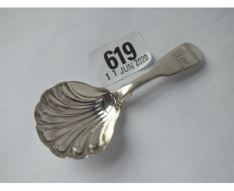 Early Victorian caddy spoon, shell bowl - 1848 by JSAS 